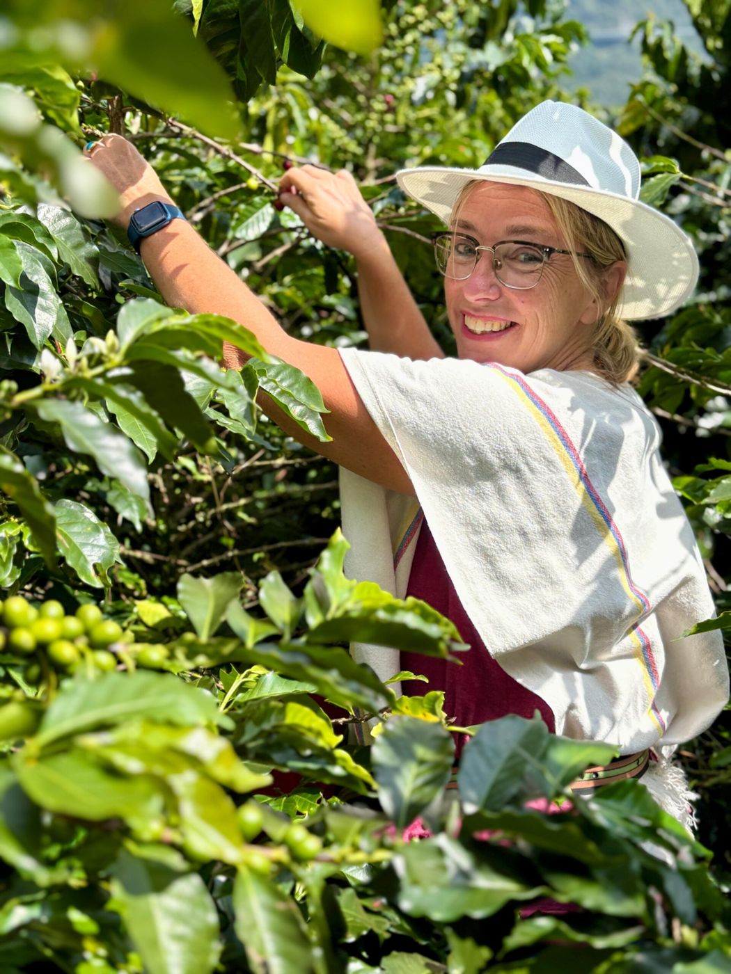 Coffee Tour Medellín